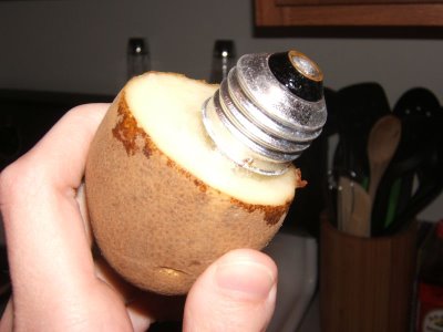 Potato used for broken light bulb