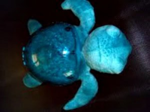 Tranquil Turtle 