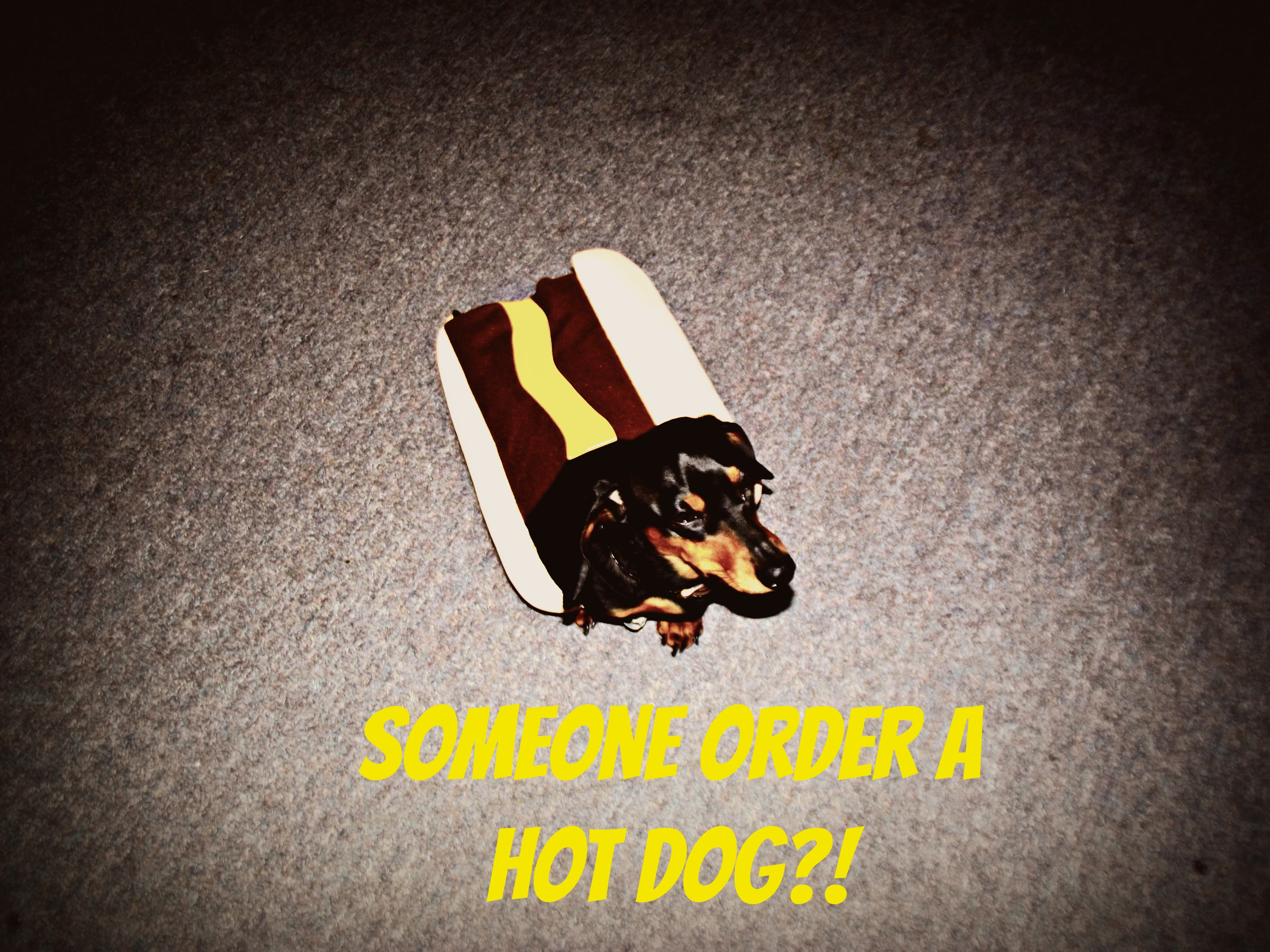 Ruger in Hot Dog Costume