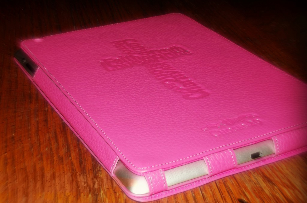 Pink iPad Case