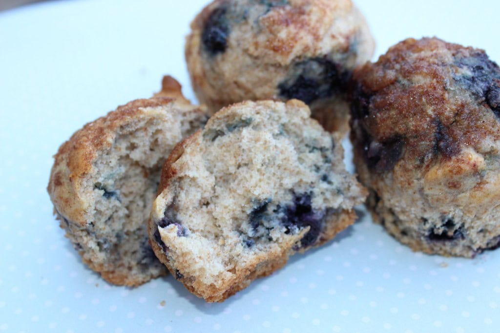 Whole Wheat Blueberry Muffins with Organic Blueberries