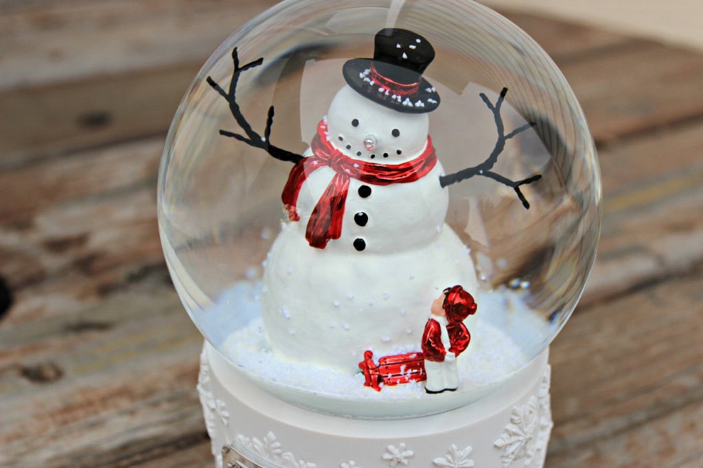 Make-A-Wish Water Globe