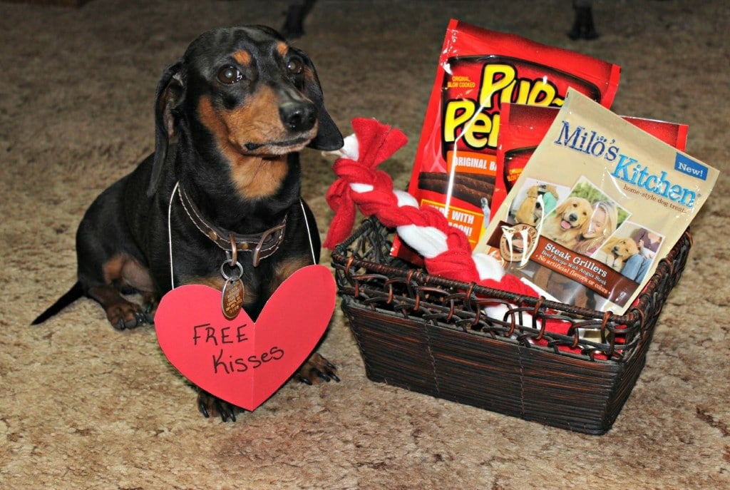 Big Heart Pet Treats 