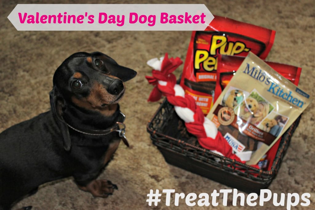 Valentine's Day Dog Gift Basket