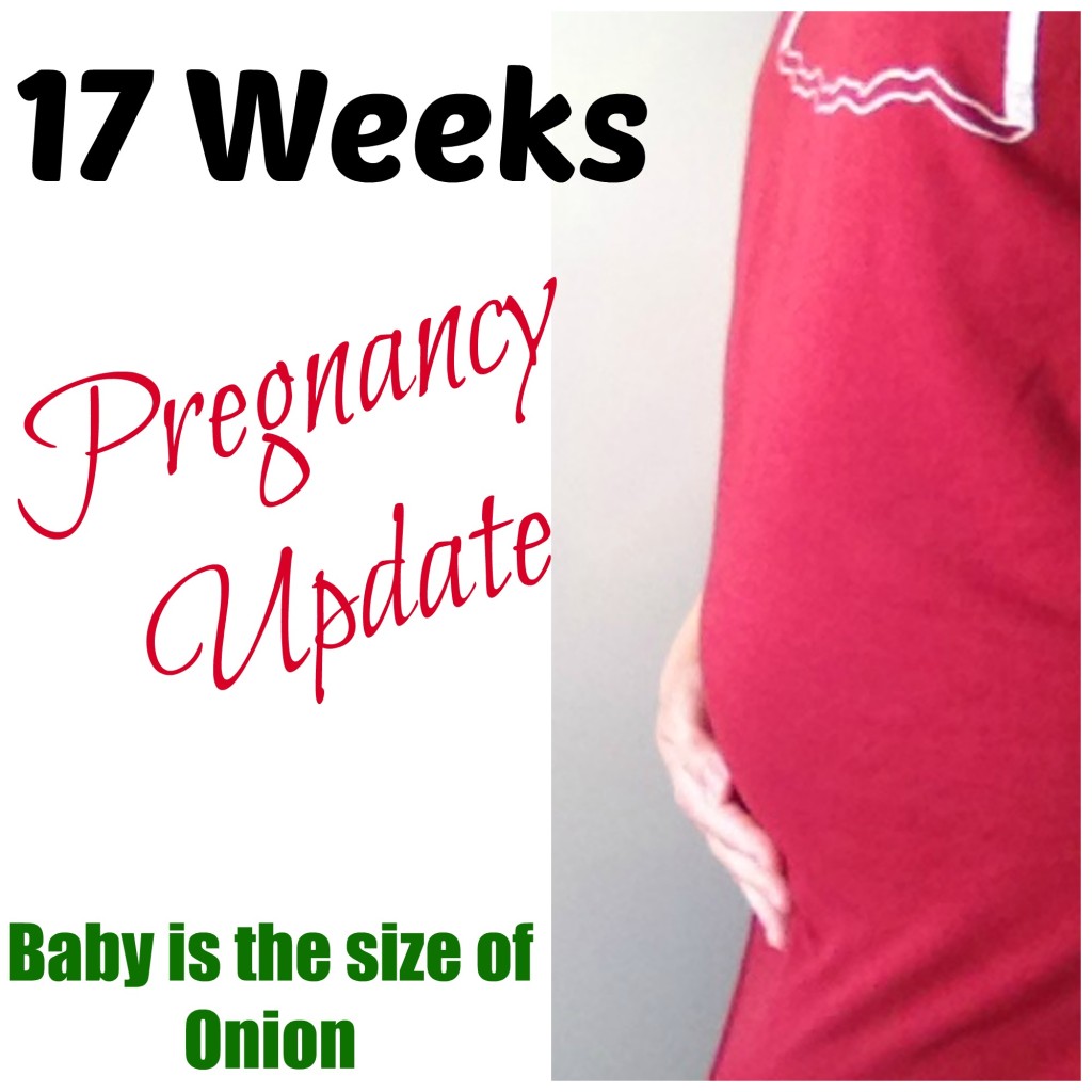 17 Week Pregnancy Update