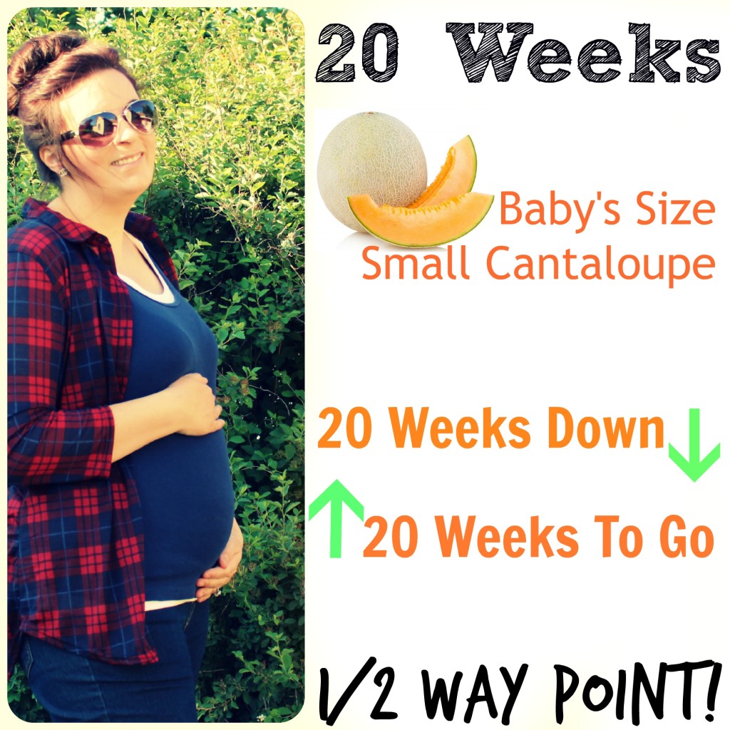20 Weeks Pregnancy Update