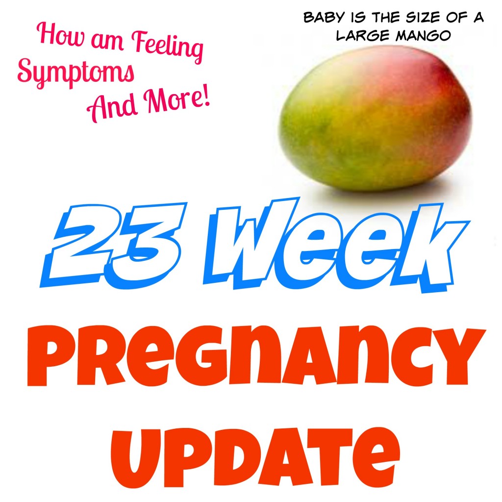 23 Pregnancy Update