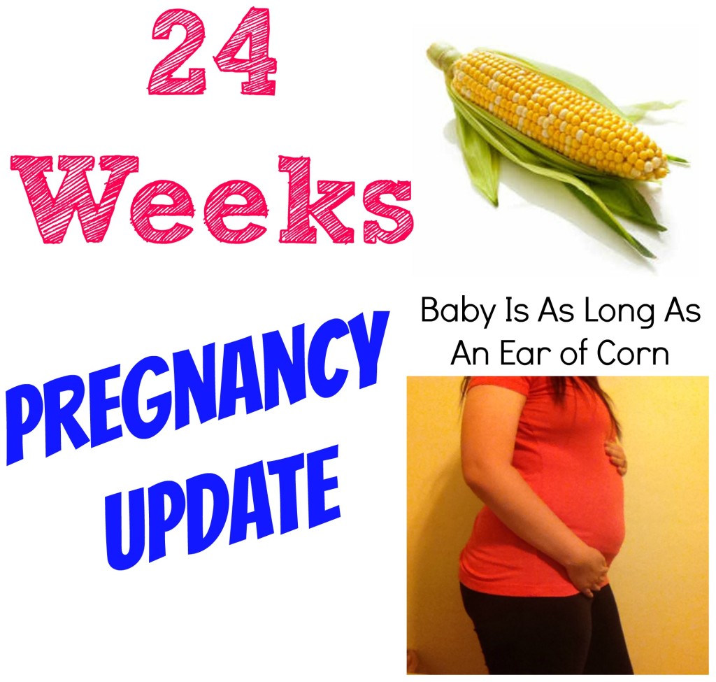 24 Week Pregnancy Update