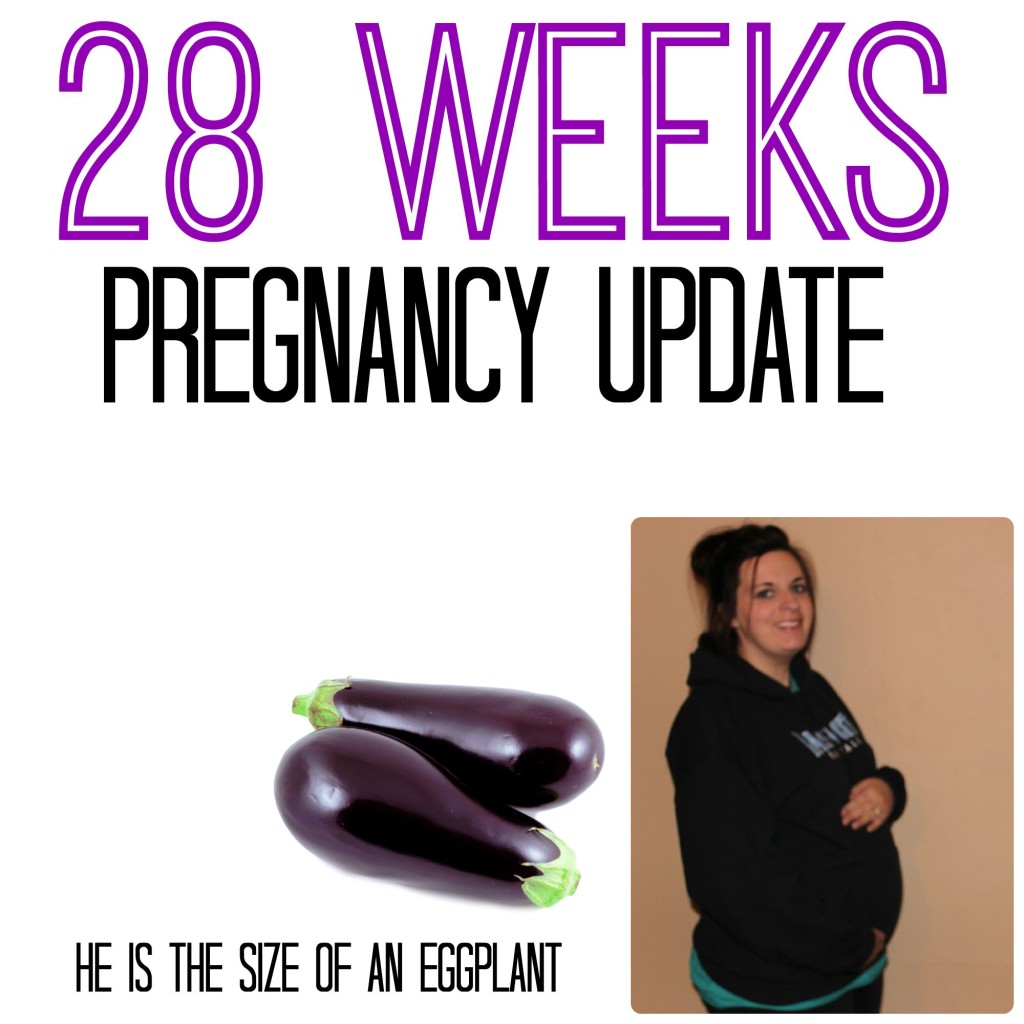 28 Weeks Pregnancy Update Officially 3rd Trimester 