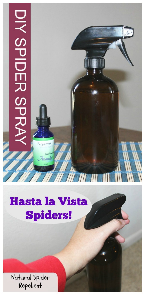 DIY Natural Spider Repellant