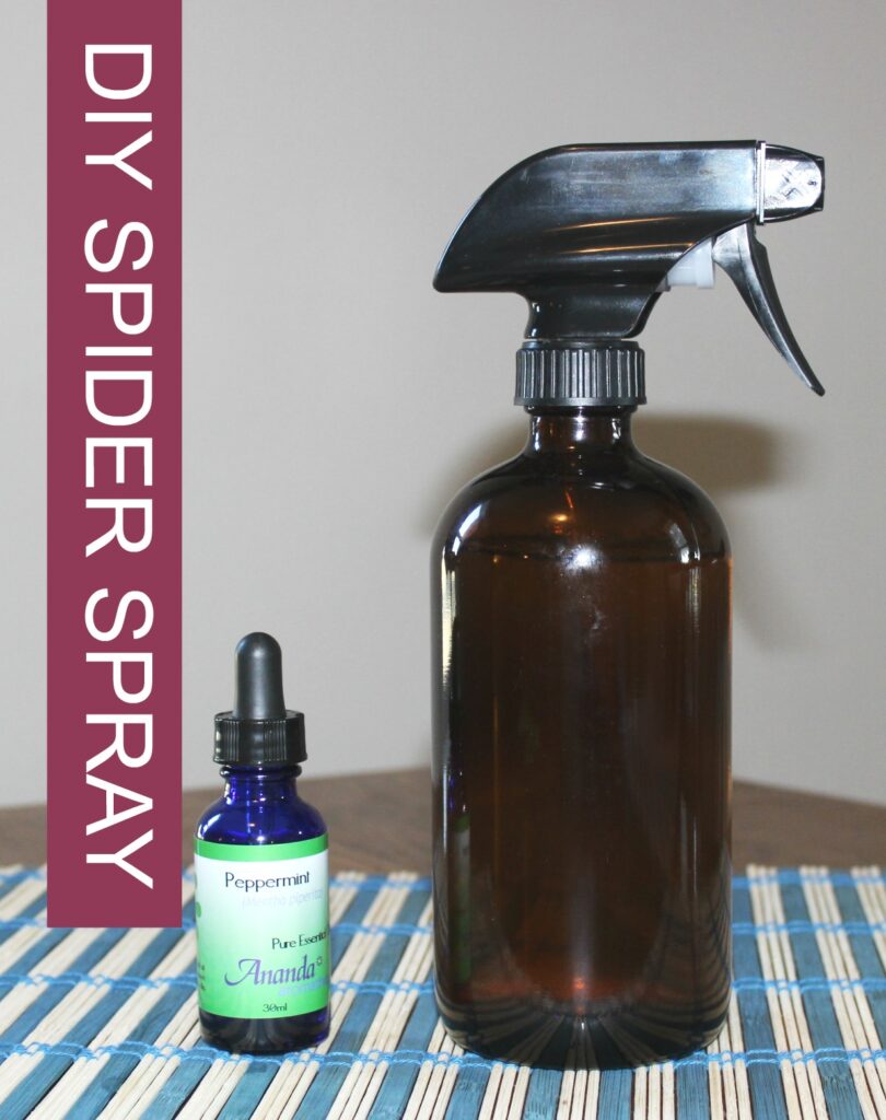 diy natural spider repellant spray with essential oil