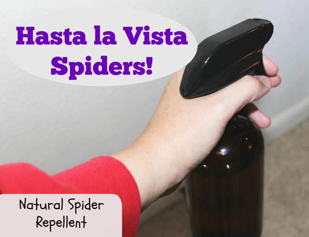 natural spider repellent
