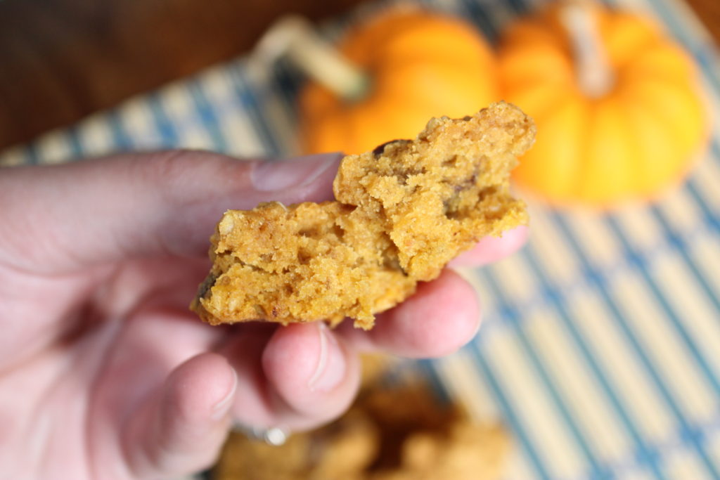 pumpkin oat chocolate chip cookies 