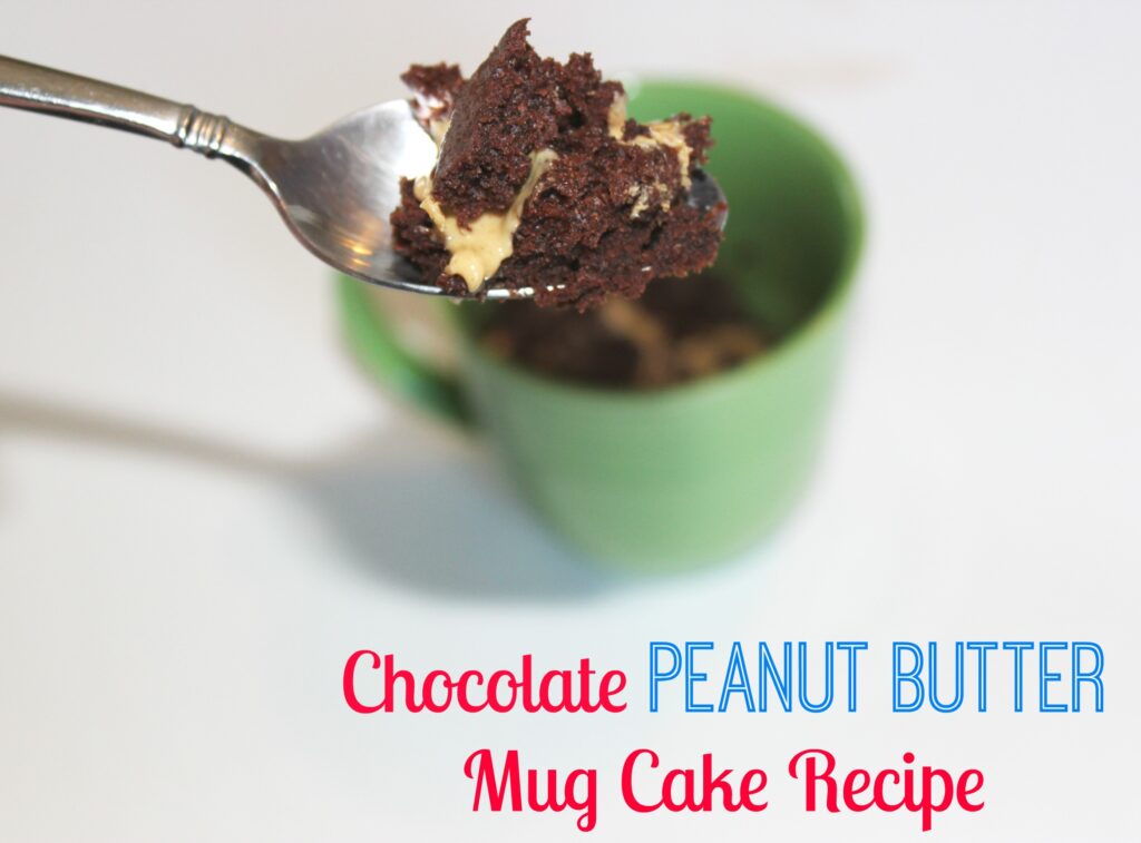 Chocolate peanut butter mug cake recipe