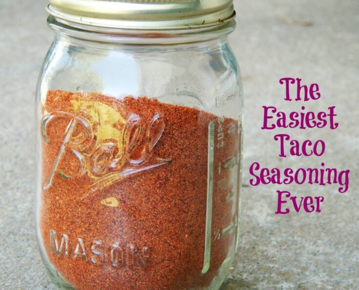 Easy Homemade Taco Seasoning Recipe