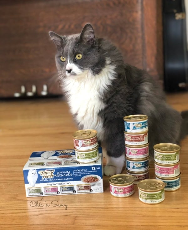 Fancy Feast Cat Food