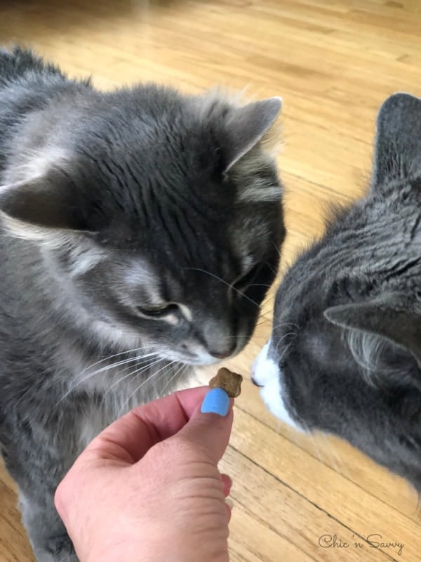 Friskies Party Mix Cat Treats